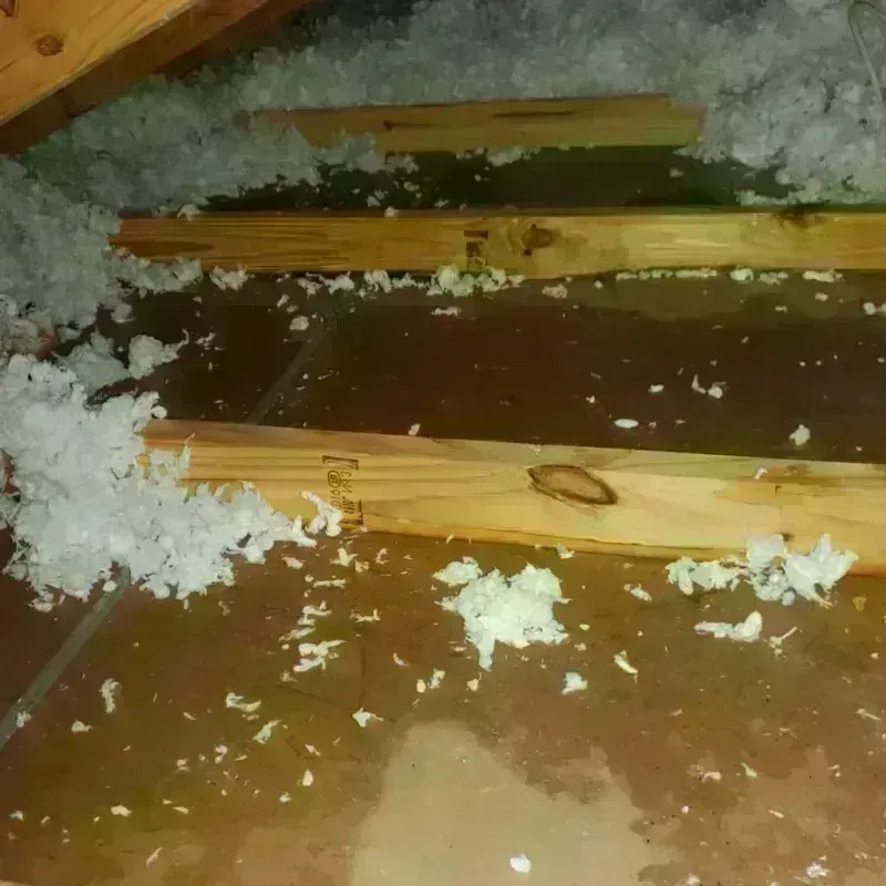 Attic Water Damage in Goleta, CA