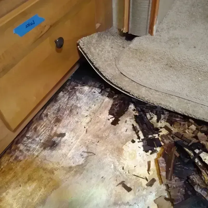 Wood Floor Water Damage in Goleta, CA